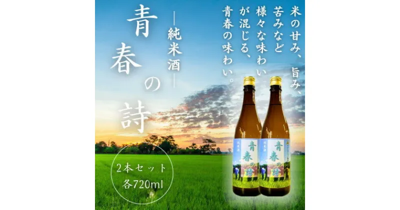 【ふるさと納税】【農業短期大学校と大天狗酒造が連携して製造!】純米酒 青春の詩 各720ml【1518996】