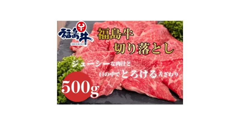 【ふるさと納税】福島牛切落し【500g】【配送不可地域：離島】【1515012】