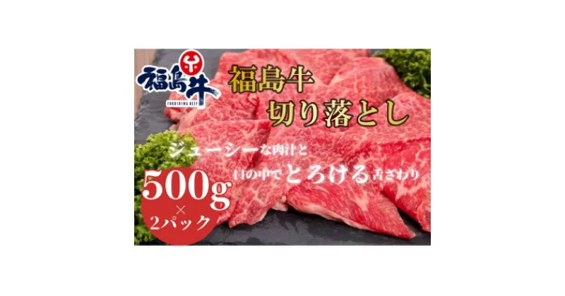 【ふるさと納税】福島牛切落し【500g×2パック】【配送不可地域：離島】【1515013】