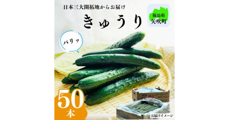 【ふるさと納税】ミネラル豊富な土とたっぷりの日光で育ったきゅうり!【50本入り】【1526116】