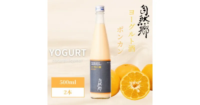 【ふるさと納税】【大木代吉】ヨーグルト酒ポンカン 500ml×2本セット【1530309】