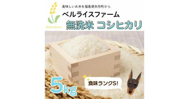 【ふるさと納税】【R6年産先行予約】農家直送 ベルライスファームのコシヒカリ無洗米5kg 1.9ミリ 食味ランクS【1537815】