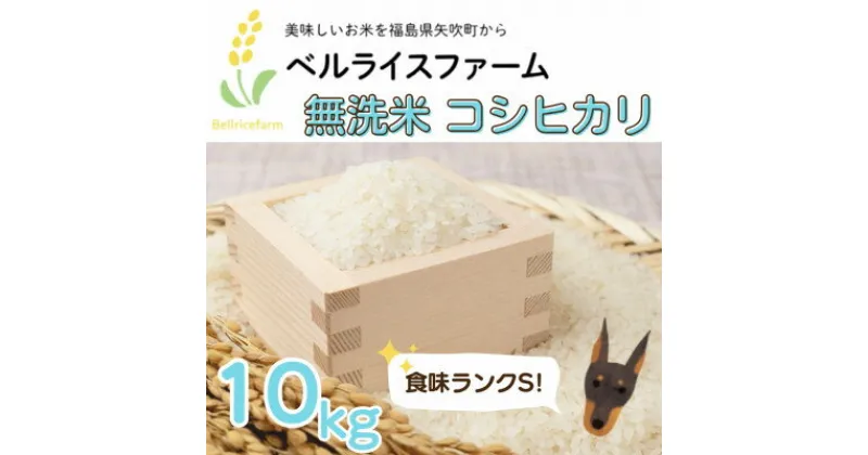 【ふるさと納税】【R6年産先行予約】農家直送 ベルライスファームのコシヒカリ無洗米10kg 1.9ミリ 食味ランクS【1537819】