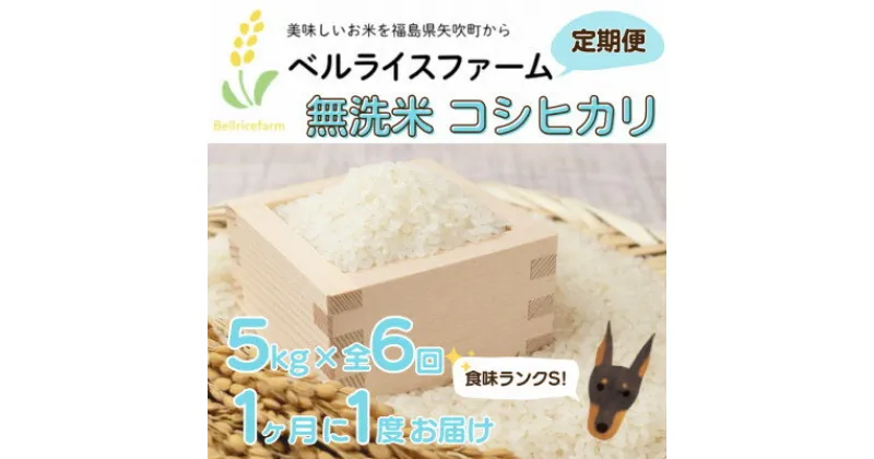 【ふるさと納税】【毎月定期便】農家直送 ベルライスファームのコシヒカリ無洗米5kg 1.9ミリ 食味ランクS全6回【4055587】