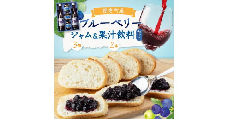 【ふるさと納税】ブルーベリー100%「ジャム」「果汁飲料」セット【棚倉町産】【1069920】