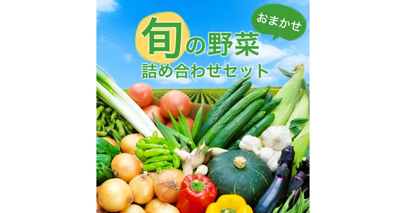 【ふるさと納税】 旬の野菜詰め合わせセット (石安米肥店) _ おまかせ 詰め合わせ 旬 旬野菜 季節の野菜 新鮮 産地直送 産直野菜 人気 美味しい 送料無料 【配送不可地域：離島】【1017731】