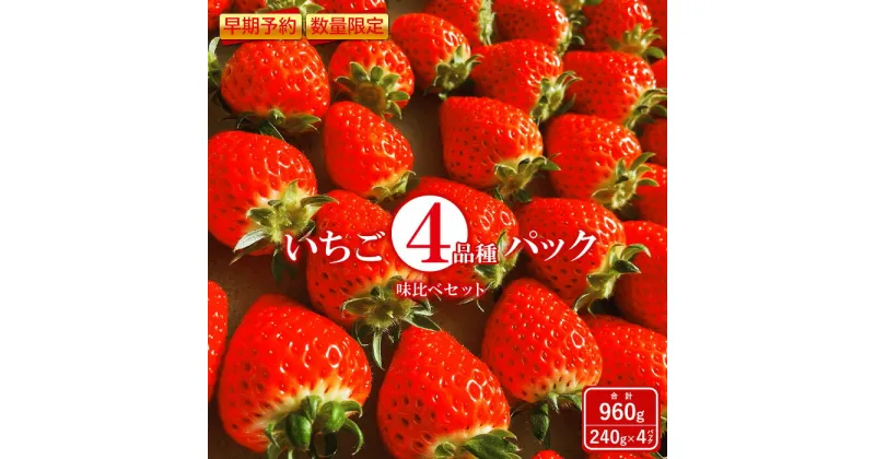 【ふるさと納税】【早期予約・数量限定】いちご 4種 960g 食べ比べ セット 240g × 4パック 春いちご スターナイト おいCベリー ゆうやけベリー かおり野 すず はるひ よつぼし ふるさと納税 福島県 石川 石川町 イチゴ 【1000501】