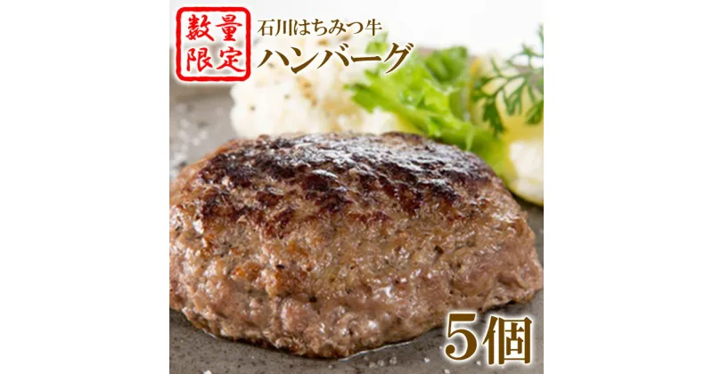 【ふるさと納税】 【数量限定】 ハンバーグ 5個 冷凍 黒毛和牛 石川 はちみつ牛 ふるさと納税 福島県 石川町 【13001】