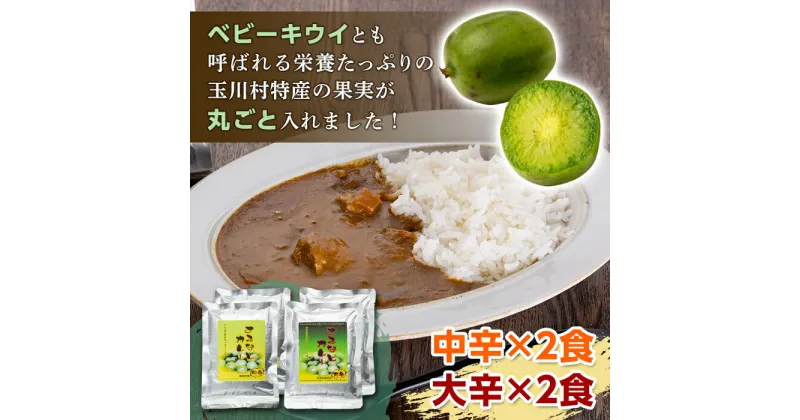 【ふるさと納税】FT18-228 まるごとさるなしカレー4食セット