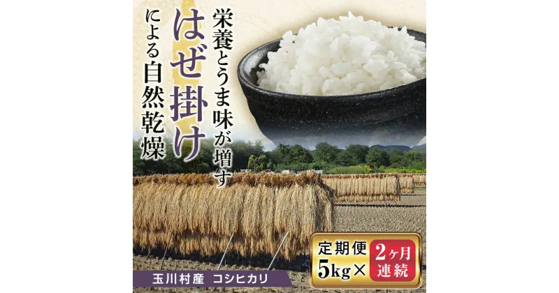 【ふるさと納税】FT18-233 《定期便》昔ながらのはぜ掛けで自然乾燥させたコシヒカリ精米5kg 2ヶ月連続