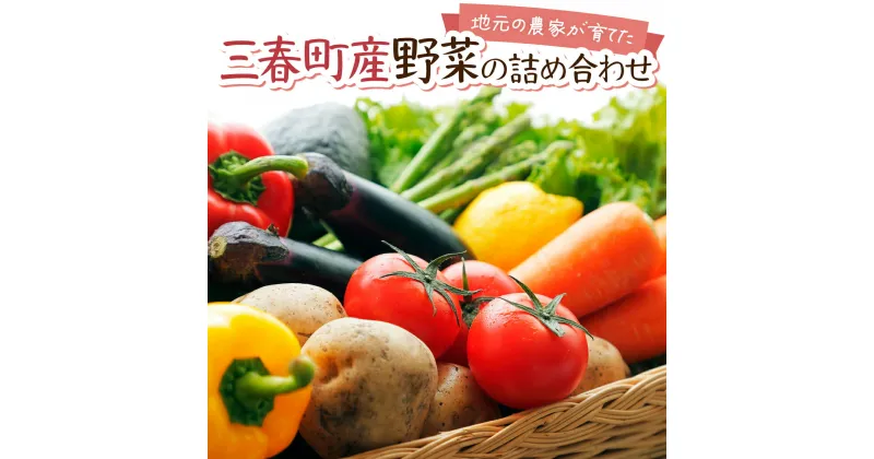 【ふるさと納税】【旬の野菜】三春町産野菜の詰合せ 約10〜15kg 【季節野菜 7〜8種類 セット 詰め合わせ アスパラ 玉ねぎ 新鮮 厳選 国産 BBQ バーベキュー 贈り物】【07521-0007】