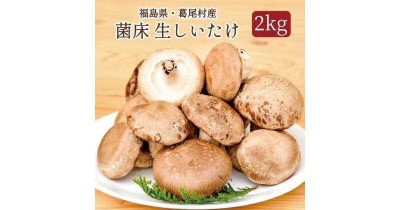 【ふるさと納税】菌床しいたけ　葛尾村産2kgセット　送料無料