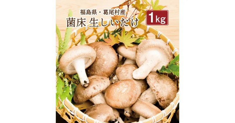 【ふるさと納税】菌床しいたけ　葛尾村産1kgセット　送料無料