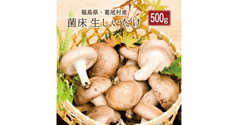 【ふるさと納税】菌床しいたけ　葛尾村産500gセット　送料無料