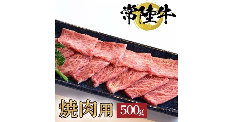 【ふるさと納税】【レビューキャンペーン】常陸牛極上カルビ焼肉用500g【お歳暮 熨斗対応 ギフト 常陸牛 国産 黒毛和牛 和牛 ブランド牛 銘柄牛 霜降り 焼肉 カルビ 極上】（BG-7）