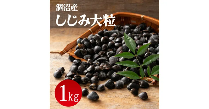 【ふるさと納税】涸沼産 冷凍しじみ 大粒 1kg(200g×5p)（シジミ 大粒しじみ 直接仕入れ 砂抜き済み 砂抜き 小分け包装 味噌汁 みそ汁 茨城県】（CA-1）