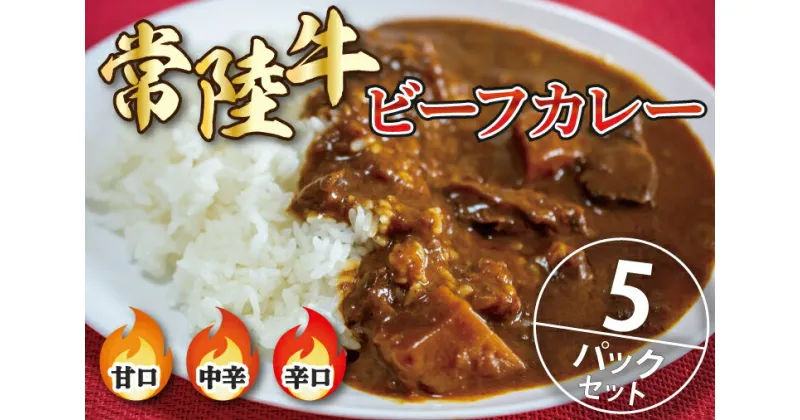 【ふるさと納税】常陸牛ビーフカレー5パックセット【常陸牛 黒毛和牛 カレー レトルトカレー レトルト レトルト食品 熟成 セット 保存食 非常食】（BA-1）