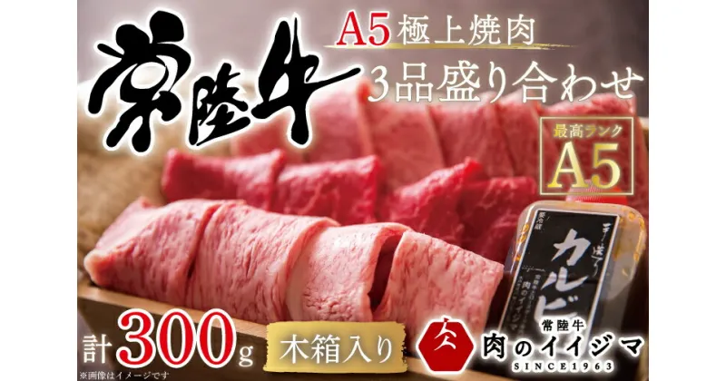 【ふるさと納税】【レビューキャンペーン】＼最短翌日〜5営業日以内発送／焼き肉 牛肉 常陸牛 A5 極上焼肉3品盛り合わせ 計300g＜木箱入り・特製タレ付き＞ 黒毛和牛 内祝い お祝い プレゼント 食べ物 ギフト対応【肉のイイジマ】（DU-32）