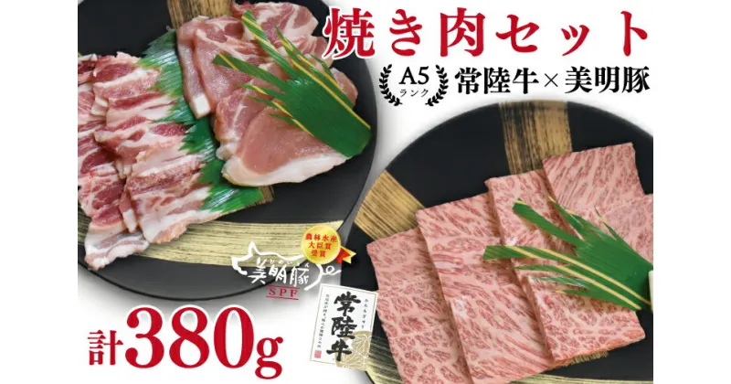 【ふるさと納税】【常陸牛A5ランク・美明豚焼肉セット】常陸牛カルビ180g＋美明豚200g（ロース100g・ばら100g）（EK-22）