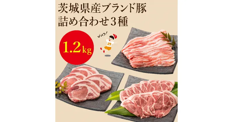 【ふるさと納税】【レビューキャンペーン】茨城県産ブランド豚肉詰め合わせ1.2kg（EC-2）