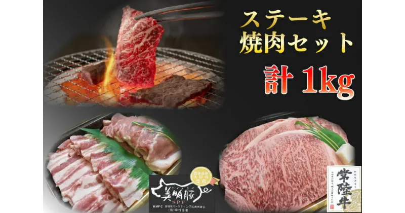 【ふるさと納税】【レビューキャンペーン】【常陸牛A5ランク・美明豚ステーキ焼肉セット】常陸牛サーロイン600g（300g×2枚）＋美明豚400g（ロース200g・ばら200g）（EK-35）