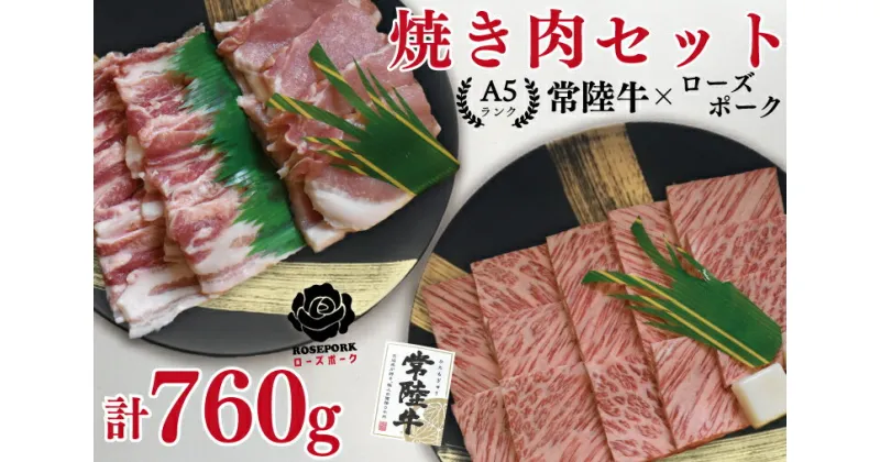 【ふるさと納税】【レビューキャンペーン】【常陸牛A5ランク・ローズポーク焼肉セット】常陸牛カルビ360g＋ローズポーク400g（ロース200g・ばら200g）（EK-48）