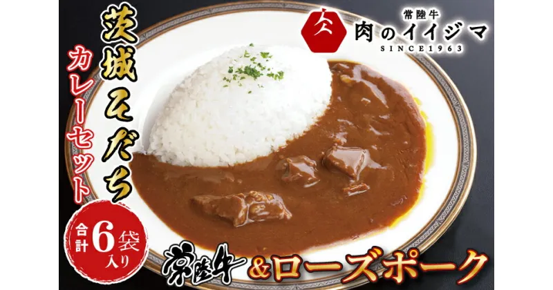 【ふるさと納税】【レビューキャンペーン】レトルトカレー ビーフカレー ポークカレー 各3個 セット ギフト お返し お祝い 一人暮らし プレゼント 食べ物 冷凍 茨城そだちカレーセット 6個入り 常陸牛＆ローズポーク ギフト対応 【肉のイイジマ】（DU-84）