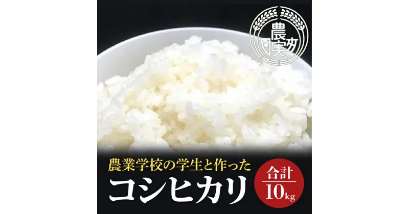 【ふるさと納税】【令和6年産】学生と作ったコシヒカリ10kg【お米 米 コメ ごはん 20000円以内 2万円以内 茨城県 水戸市 水戸 】（DN-21）