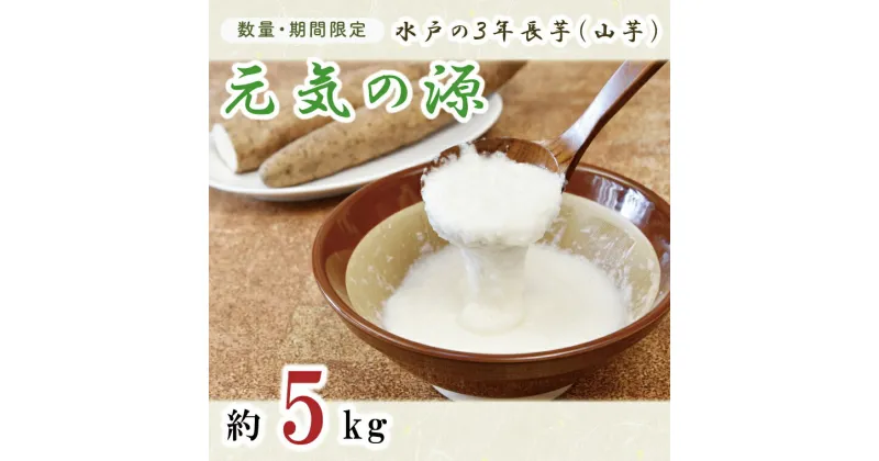 【ふるさと納税】【数量限定 期間限定】水戸の3年長芋（元気の源）【ながいも　山芋　やまいも 野菜 やさい ムカゴ とろろ 茨城県 水戸市 2万円以下 20000円以下】（HD-1）