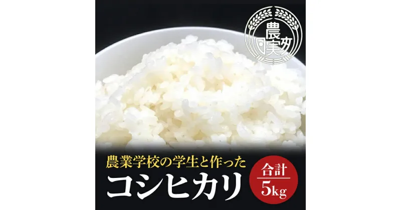 【ふるさと納税】【令和6年産】学生と作ったコシヒカリ5kg【お米 米 コメ ごはん 10000円以内 1万円以内 茨城県 水戸市 水戸 】（DN-16）