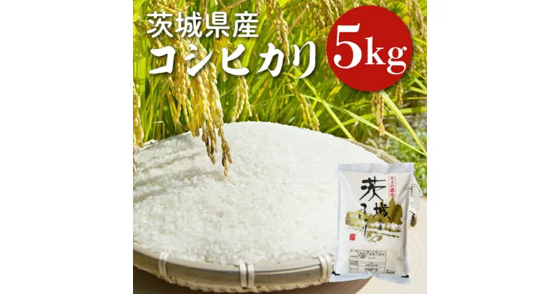 【ふるさと納税】【令和6年産】茨城県産コシヒカリ 5kg 【お米 ごはん こしひかり 老舗 米屋 おにぎり ごはん 茨城県 水戸市 5キロ】(HQ-51)