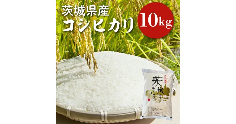 【ふるさと納税】【令和6年産】茨城県産コシヒカリ 10kg 【お米 ごはん こしひかり 老舗 米屋 おにぎり ごはん 茨城県 水戸市 10キロ】(HQ-52)