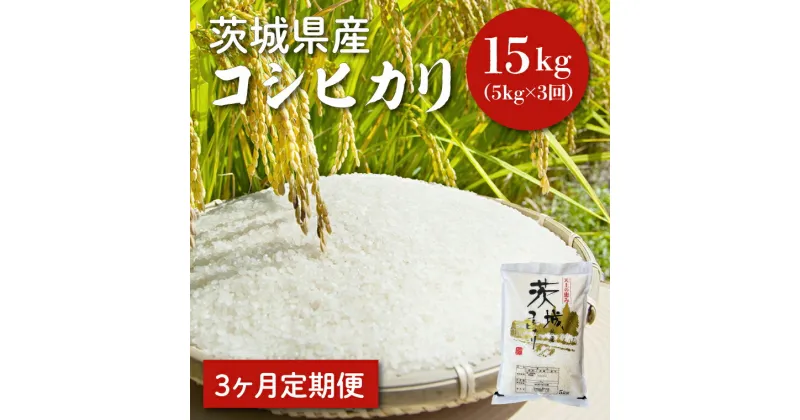 【ふるさと納税】【レビューキャンペーン】【令和6年産】【3ヵ月定期便】茨城県産コシヒカリ 5kg×3 【定期便 お米 ごはん こしひかり 老舗 米屋 おにぎり ごはん 茨城県 水戸市 15キロ】(HQ-54)