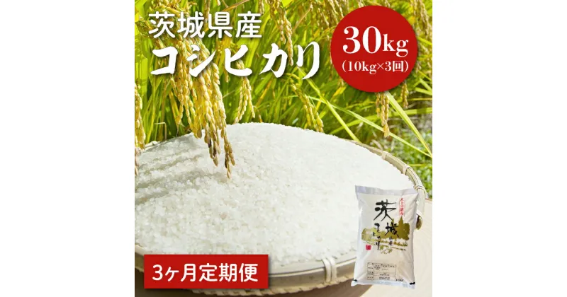 【ふるさと納税】【レビューキャンペーン】【令和6年産】【3ヵ月定期便】茨城県産コシヒカリ 10kg×3【定期便 お米 ごはん こしひかり 老舗 米屋 おにぎり ごはん 茨城県 水戸市 30キロ】(HQ-55)