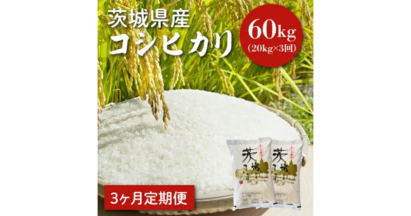 【ふるさと納税】【レビューキャンペーン】【令和6年産】【3ヵ月定期便】茨城県産コシヒカリ 20kg×3 【定期便 お米 ごはん こしひかり 老舗 米屋 おにぎり ごはん 茨城県 水戸市 60キロ】(HQ-56)