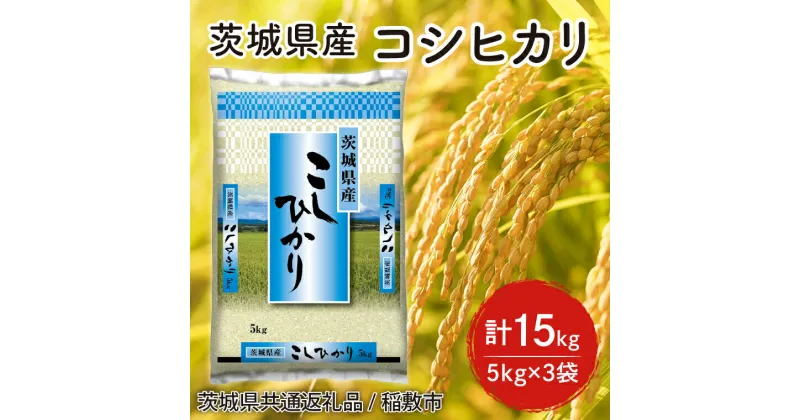 【ふるさと納税】【6年度産新米】茨城県産コシヒカリ精米15kg(5kg×3袋)【米 おこめ こしひかり 農家直送 直送 茨城県】（茨城県共通返礼品/稲敷市）（HT-101）