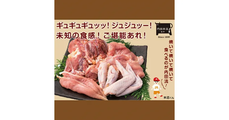 【ふるさと納税】奥久慈しゃも一羽セット【しゃも 軍鶏 国産 鶏肉 一羽丸ごと 真空包装 真空 小分け 冷凍 水戸市 水戸 茨城県 30000円以内 3万円以内】（EC-15）