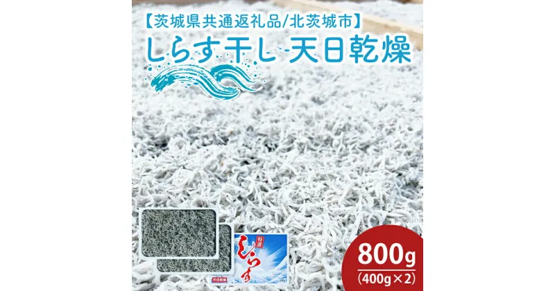 【ふるさと納税】しらす干し 天日乾燥800g（400g×2）【茨城県共通返礼品/北茨城市】（HY-1）