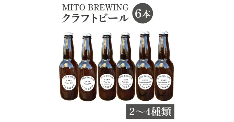 【ふるさと納税】【レビューキャンペーン】【ぬりや】クラフトビール　6本詰め合わせ【お酒 クラフトビール ビール ふるさと納税 水戸市 茨城県】（GW-1）