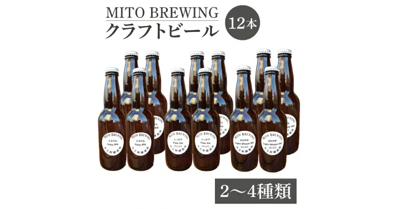 【ふるさと納税】【レビューキャンペーン】【ぬりや】クラフトビール12本詰め合わせ【お酒 クラフトビール ビール ふるさと納税 水戸市 茨城県】（GW-2）