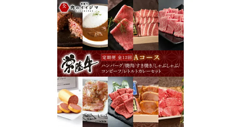 【ふるさと納税】【定期便 全12回】 高級肉 常陸牛 12ヶ月 定期便 Aコース 148000円 毎月 常陸牛ハンバーグ 焼肉 すき焼き しゃぶしゃぶ コンビーフ レトルトカレー ギフト セット プレゼント 黒毛和牛 ふるさと納税 定期便 肉 ギフト対応 【肉のイイジマ】（DU-111）