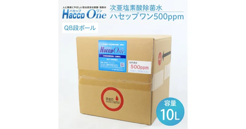 【ふるさと納税】【レビューキャンペーン】次亜塩素酸除菌水 ハセップワン500ppm　10L【除菌 次亜塩素酸 安心 安全 ペット ウイルス除去 消臭 水戸市 茨城県】（JD-1）