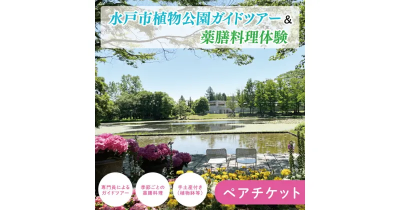 【ふるさと納税】【レビューキャンペーン】【数量限定】水戸市植物公園ガイドツアー＆薬膳料理体験（ペアチケット）【花 グリーン 癒し 薬膳 漢方 薬膳料理 カレー 薬膳カレー 体験ツアー お土産付き ガイドツアー ガイド 水戸市 茨城県】（KD-1）