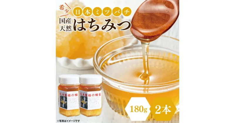 【ふるさと納税】【先行予約】日本ミツバチの国産天然はちみつ 360g（180g×2本）【希少 数量限定 期間限定 ハチミツ 蜂蜜 国産ハチミツ 非加熱 天然 水戸市 茨城県】(KH-2)