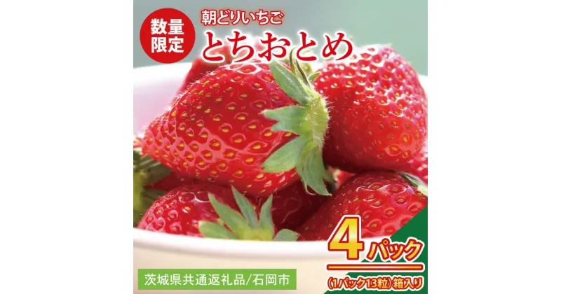 【ふるさと納税】【先行予約】【数量限定】【朝どり】いちご とちおとめ4パック 2025年2月以降順次発送【茨城県共通返礼品／石岡市】【果物 くだもの フルーツ 苺 イチゴ 完熟 甘い 農家直送】（KU-1）