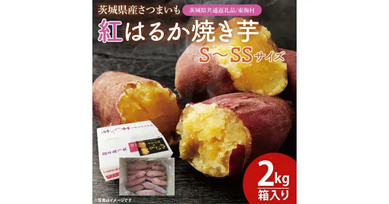 【ふるさと納税】【数量限定】紅はるか焼き芋S〜SSサイズ2kg箱【茨城県共通返礼品/東海村】【焼いも 焼芋 いも やきいも さつまいも 蜜芋 冷凍 紅はるか 水戸市 茨城県 10000円以内 1万円以内】（KE-1）