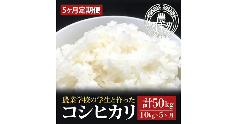 【ふるさと納税】【5ヶ月定期便】【令和6年産】学生と作ったコシヒカリ計50kg（10kg×5回）【お米 米 コメ ごはん 10万円以内 50キロ 茨城県 水戸市 水戸】（DN-24）