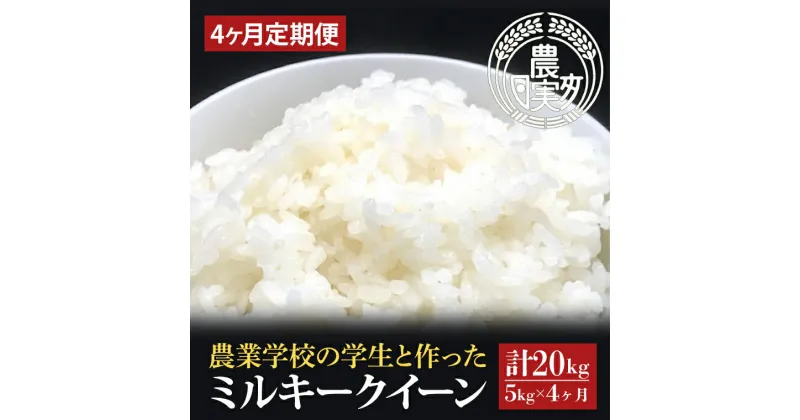 【ふるさと納税】【4ヶ月定期便】【令和6年産】学生と作ったミルキークイーン計20kg（5kg×4回）【お米 米 コメ ごはん 3万円以内 20キロ 茨城県 水戸市 水戸】（DN-28）