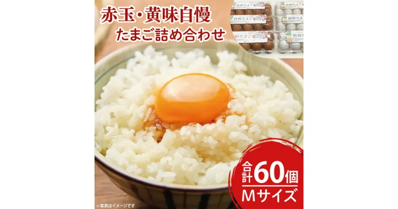 【ふるさと納税】【数量限定】赤玉・黄味自慢 たまご詰め合わせ60個【卵 玉子 タマゴ 新鮮 タンパク質 目玉焼き 茨城県 水戸市】（LB-1）