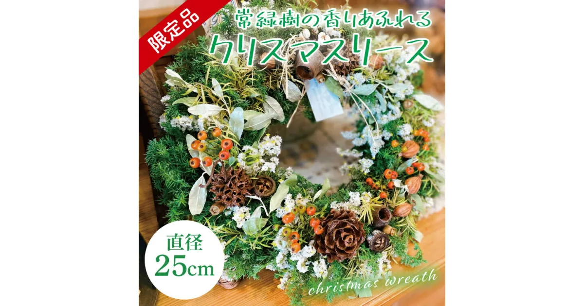 【ふるさと納税】【先行予約・数量限定】常緑樹の香りあふれるクリスマスリース（限定品）【インテリア おしゃれ 壁飾り プレゼント お花 ギフト ナチュラル クリスマス リース 水戸市 水戸 茨城県 10000円以内 1万円以内】（KW-3）